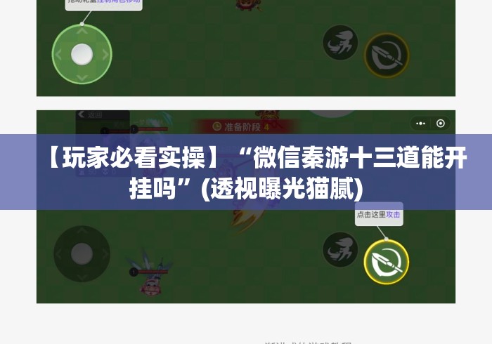 【玩家必看实操】“微信秦游十三道能开挂吗”(透视曝光猫腻)